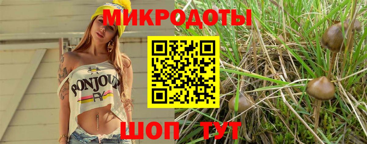 Галлюциногенные грибы GOLDEN TEACHER  Псилоцибиновые грибы Cubensis  Вход с VPN  Минусинск 